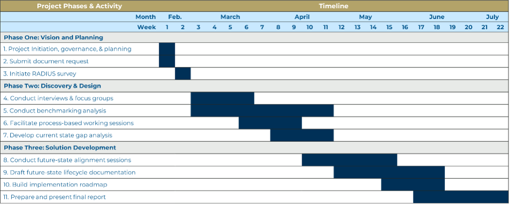 Gantt chart showing the project timeline across three phases—vision and planning, discovery and design, and solution development—from February through July.